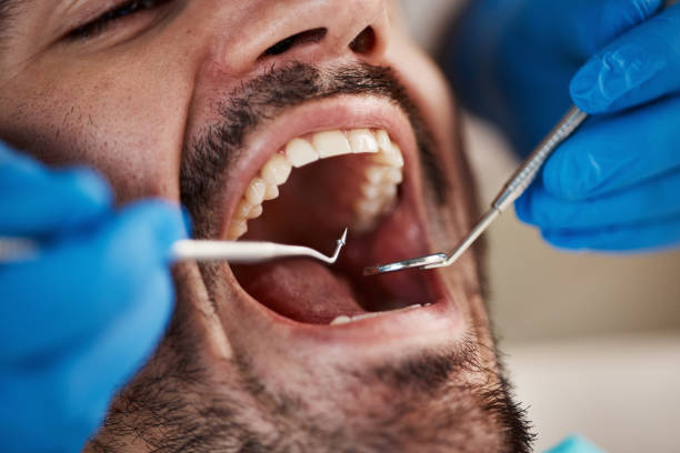 Best Emergency Orthodontic Repairs in Herrin, IL